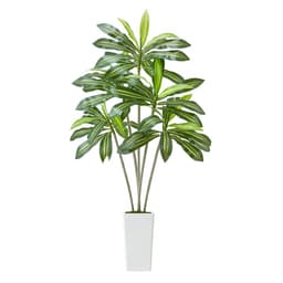 Mesterséges Dracaena fa 1829 mm, Műpálma Trópusi Növények Fehér Magas Ültetővel, Műpadló Selyem Növény Cserépben, Nagy Fák Otthoni Irodába, Nappali Dekorációba, Otthon Melegítésbe, Beltéri Kültéri - miniatúra 12